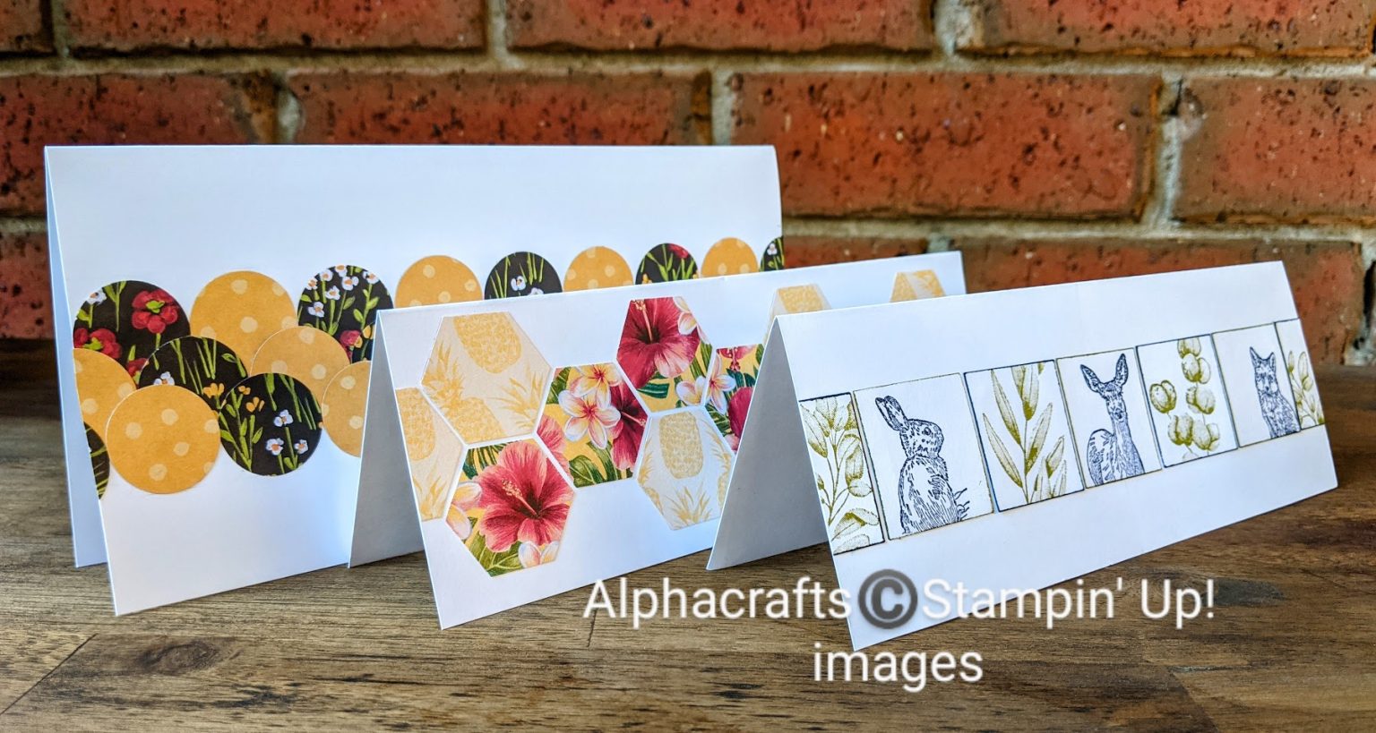 Slimline Cards From Alphacrafts Stampin Up